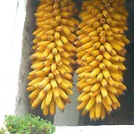 El Pontarron La Franca