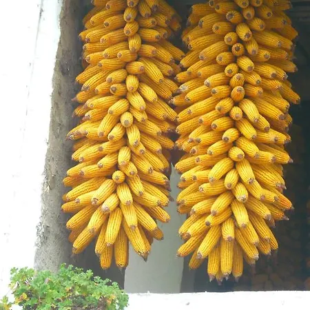 El Pontarron لا فرانكا